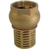 1 BSP Female Check Foot Valve Suction Brass Non Return Valve For Pump