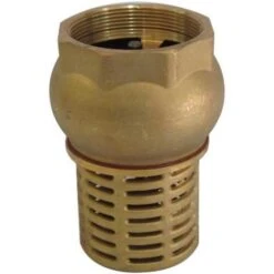 2 BSP Female Check Foot Valve Suction Brass Non Return Valve For Pump