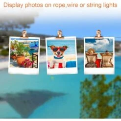 Small Bulldog Paper Clips,30 Pack 1 Inch Metal Binder Clips Folder Paper Money Collars For Tags Bags, Shops, Office And Home Kitchen (Rose Gold, 22mm) -Heating Equipment 75326775 3